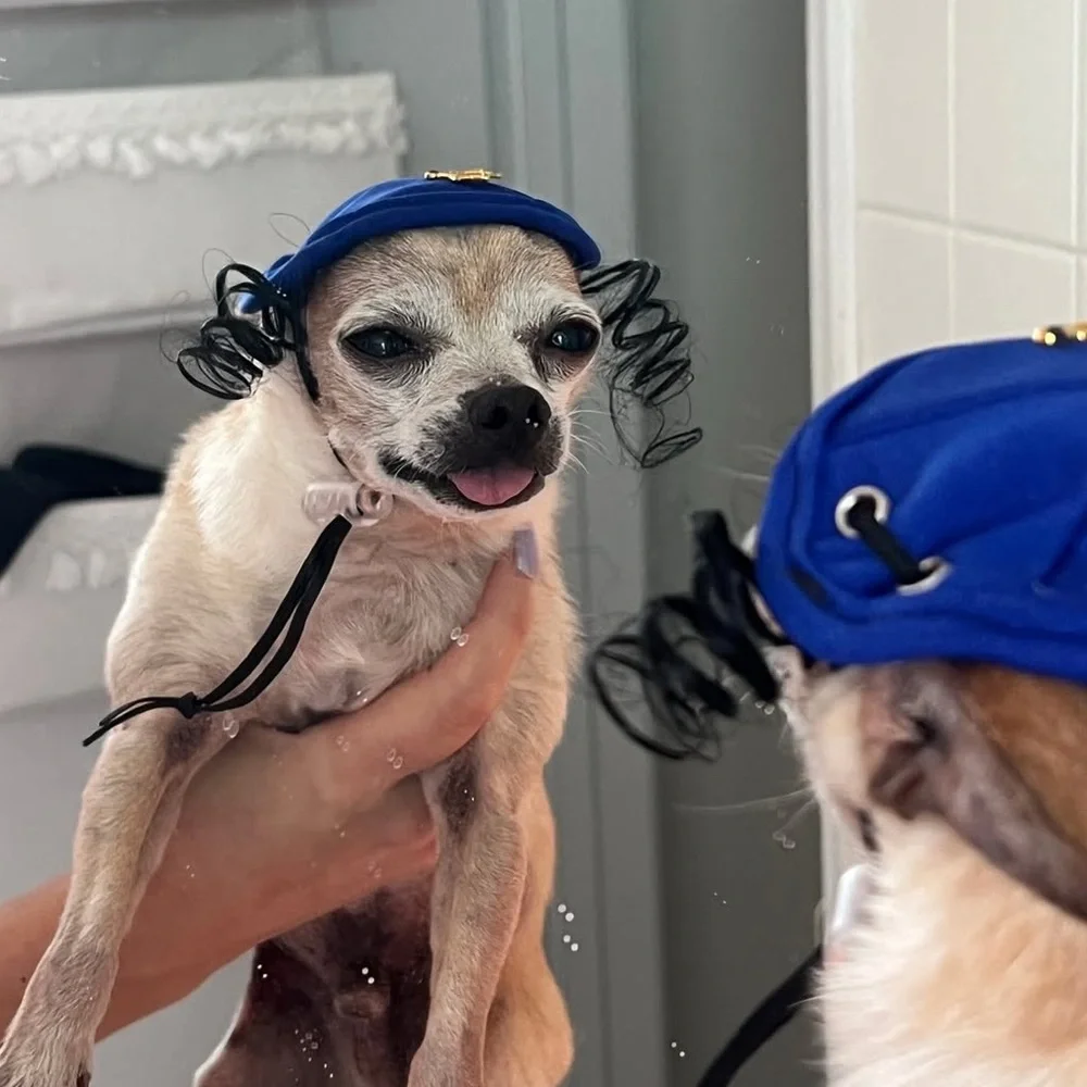 Hanukkah hat Blue Dog Kippah with Star of David cat